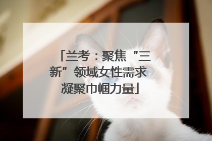 兰考：聚焦“三新”领域女性需求 凝聚巾帼力量