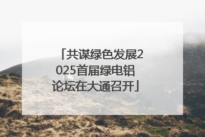 共谋绿色发展2025首届绿电铝论坛在大通召开