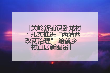 关岭新铺镇卧龙村：扎实推进“两清两改两治理” 绘就乡村宜居新图景
