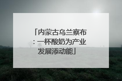 内蒙古乌兰察布：一杯酸奶为产业发展添动能