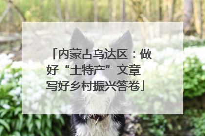 内蒙古乌达区：做好“土特产”文章 写好乡村振兴答卷