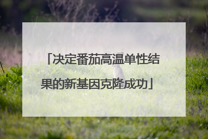 决定番茄高温单性结果的新基因克隆成功