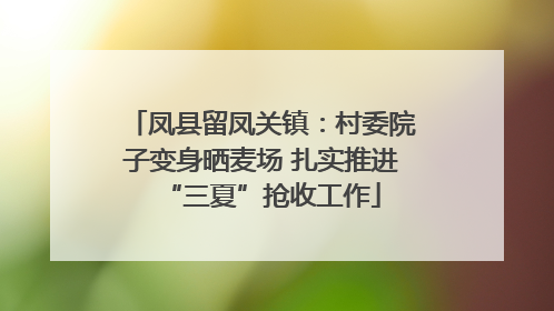 凤县留凤关镇：村委院子变身晒麦场 扎实推进“三夏”抢收工作