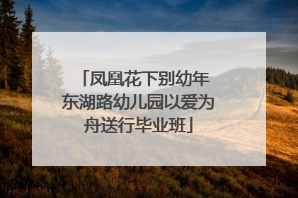 凤凰花下别幼年 东湖路幼儿园以爱为舟送行毕业班