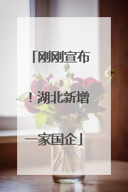 刚刚宣布！湖北新增一家国企