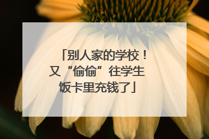 别人家的学校！又“偷偷”往学生饭卡里充钱了