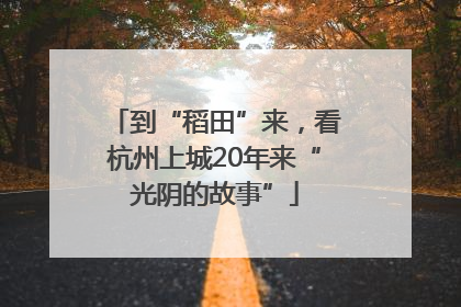 到“稻田”来，看杭州上城20年来“光阴的故事”