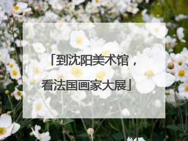 到沈阳美术馆，看法国画家大展