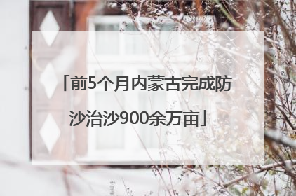 前5个月内蒙古完成防沙治沙900余万亩