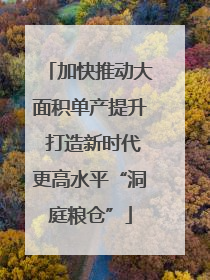 加快推动大面积单产提升 打造新时代更高水平“洞庭粮仓”