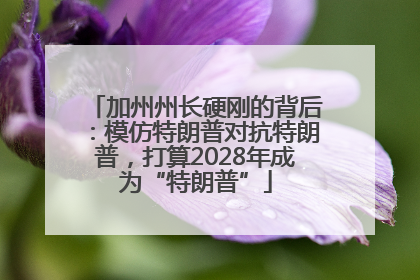 加州州长硬刚的背后：模仿特朗普对抗特朗普，打算2028年成为“特朗普”