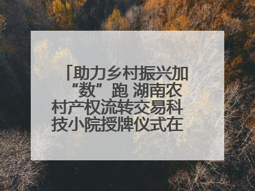 助力乡村振兴加“数”跑 湖南农村产权流转交易科技小院授牌仪式在长沙举行