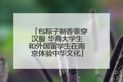 包粽子制香囊穿汉服 华裔大学生和外国留学生在南京体验中华文化