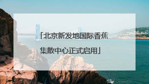 北京新发地国际香蕉集散中心正式启用
