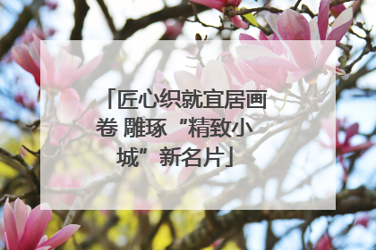 匠心织就宜居画卷 雕琢“精致小城”新名片