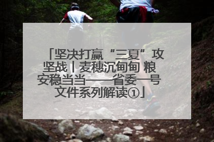 坚决打赢“三夏”攻坚战丨麦穗沉甸甸 粮安稳当当——省委一号文件系列解读①