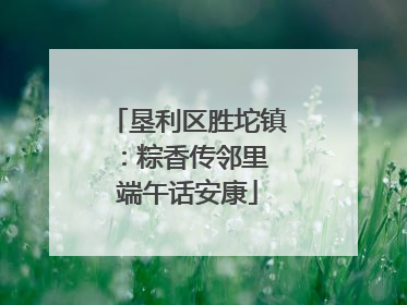 垦利区胜坨镇：粽香传邻里 端午话安康