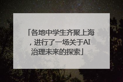 各地中学生齐聚上海，进行了一场关于AI治理未来的探索