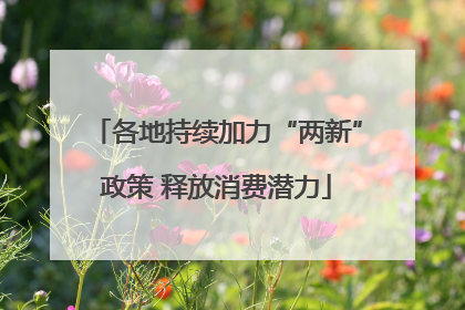 各地持续加力“两新”政策 释放消费潜力