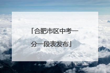 合肥市区中考一分一段表发布