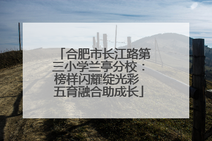 合肥市长江路第三小学兰亭分校：榜样闪耀绽光彩 五育融合助成长
