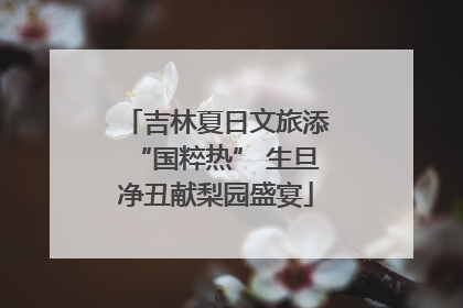 吉林夏日文旅添“国粹热” 生旦净丑献梨园盛宴