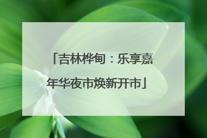 吉林桦甸：乐享嘉年华夜市焕新开市