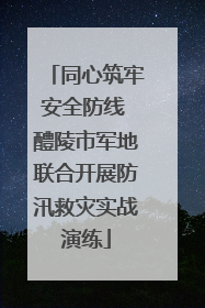 同心筑牢安全防线 醴陵市军地联合开展防汛救灾实战演练