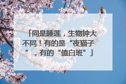 同是睡莲，生物钟大不同！有的是“夜猫子”，有的“值白班”