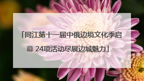 同江第十一届中俄边境文化季启幕 24项活动尽展边城魅力