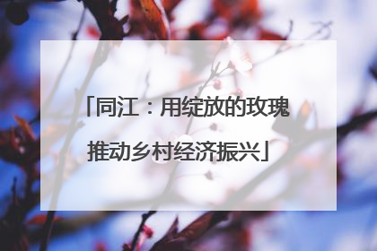同江：用绽放的玫瑰 推动乡村经济振兴