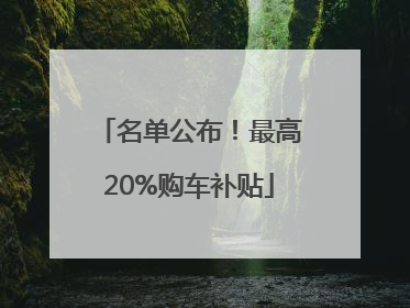 名单公布！最高20%购车补贴