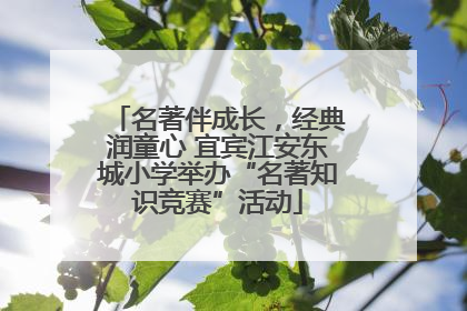 名著伴成长，经典润童心 宜宾江安东城小学举办“名著知识竞赛”活动