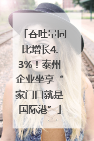 吞吐量同比增长4.3%！泰州企业坐享“家门口就是国际港”