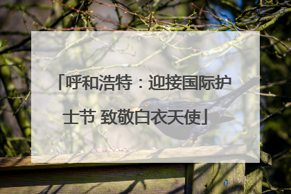 呼和浩特：迎接国际护士节 致敬白衣天使