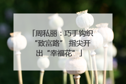 周私丽：巧手钩织“致富路” 指尖开出“幸福花”