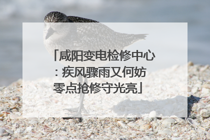咸阳变电检修中心：疾风骤雨又何妨 零点抢修守光亮