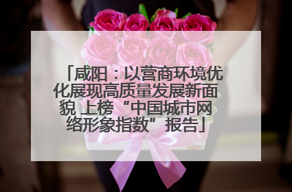 咸阳：以营商环境优化展现高质量发展新面貌 上榜“中国城市网络形象指数”报告