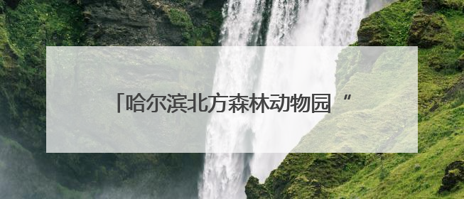 哈尔滨北方森林动物园“私人定制”粽子迎端午