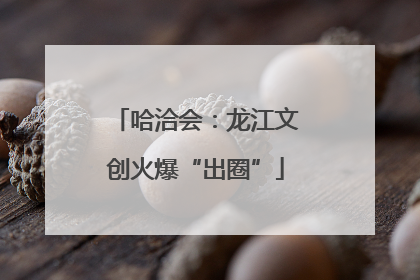 哈洽会：龙江文创火爆“出圈”