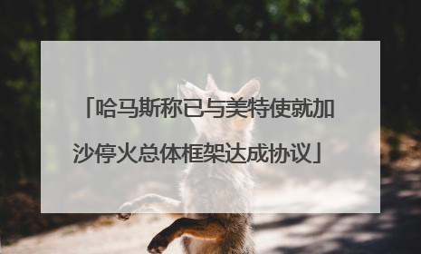 哈马斯称已与美特使就加沙停火总体框架达成协议