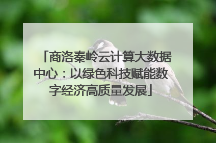 商洛秦岭云计算大数据中心：以绿色科技赋能数字经济高质量发展