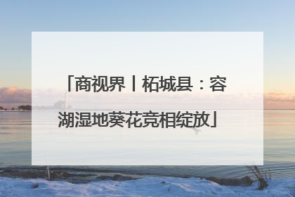 商视界丨柘城县：容湖湿地葵花竞相绽放