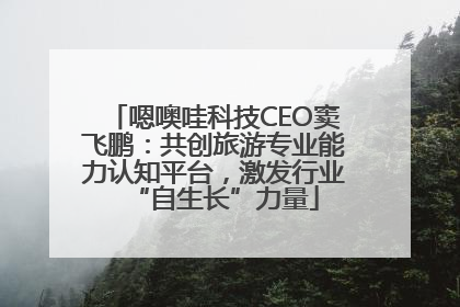 嗯噢哇科技CEO窦飞鹏：共创旅游专业能力认知平台，激发行业“自生长”力量