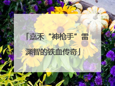 嘉禾“神枪手”雷渊智的铁血传奇