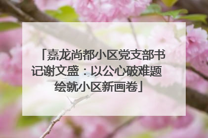 嘉龙尚都小区党支部书记谢文盛：以公心破难题 绘就小区新画卷