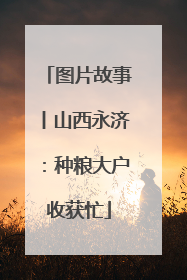 图片故事丨山西永济：种粮大户收获忙
