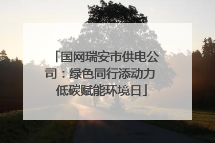 国网瑞安市供电公司：绿色同行添动力 低碳赋能环境日