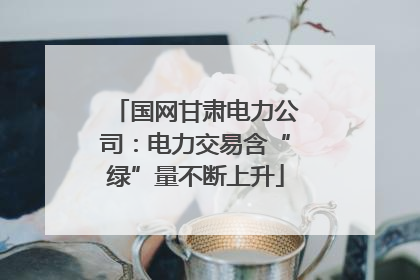 国网甘肃电力公司：电力交易含“绿”量不断上升