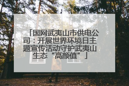 国网武夷山市供电公司：开展世界环境日主题宣传活动守护武夷山生态“高颜值”